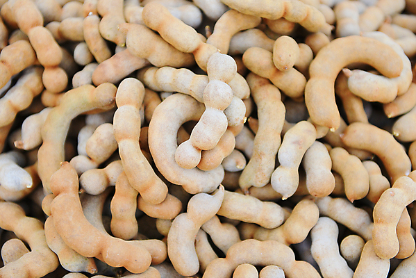 포토 JPG 해외이미지 음식 백그라운드 잎 패턴 농업 채소 과일 재료 태국 자연 디저트 콩 건조 건강 씨앗 동양인 사람없음 가로 농작물 갈색 정원 껍질 나뭇가지 신선 그룹 시장 달콤 맛 유기농 질감 날것 내추럴 꼬투리 숙성 식용 이국적 채식주의자 해외포토 나무 식물 웰빙 산업 아시아 컬러 컨셉 무늬 곡류 인종 생태계 채식 파일형식 이미지허브