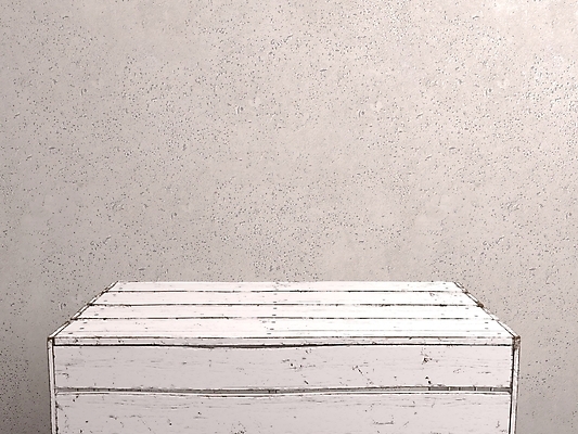 포토 JPG 해외이미지 디자인 벽 가구 백그라운드 탁자 표면 추상 선반 사람없음 내부 목재 장식 빛 3D 우주 공백 전시 방 수확 흰색 시골 신선 상품 정상 계산대 책상 질감 복고 만들기 내추럴 옛날 해외포토 나무 컬러 생활용품 무늬 농업 재료 모션 디지털합성 파일형식 이미지허브