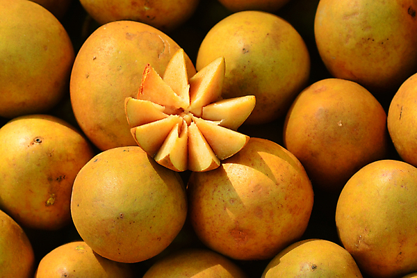 포토 JPG 해외이미지 나무 아시아 음식 백그라운드 잎 다이어트 과일 태국 자연 디저트 건강 씨앗 사람없음 약 갈색 정원 에너지 신선 달콤 맛 자르기 먹기 철 피부 날것 자두 내추럴 숙성 이국적 잇몸 해외포토 식물 나라 컬러 컨셉 신체 의학 모션 신체부위 생태계 파일형식 이미지허브