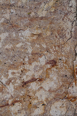 포토 JPG 해외이미지 모양 백그라운드 장신구 자연 표면 추상 사람없음 장식 뷰티 갈색 에너지 흰색 닫기 작음 보석 수집 질감 서식 예술가 테라피 보물 내추럴 세련 해외포토 컬러 무늬 모션 크기 광석 생태계 파일형식 이미지허브