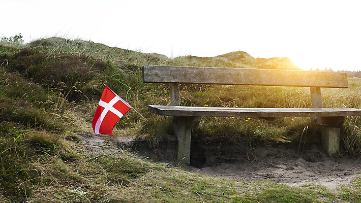 포토 JPG 해외이미지 계절 잎 벤치 자연 덴마크 풍경 사람없음 야외 초록색 빛 내추럴 해외포토 식물 컬러 의자 북유럽 생태계 파일형식 이미지허브