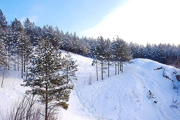 포토 JPG 해외이미지 나무 계절 여행 백그라운드 크리스마스 겨울 자연 하늘 산 풍경 사람없음 야외 목재 파란색 빛 냉동 얼음 추위 흰색 소나무 숲 시원함 서리 장면 전나무 내추럴 눈내림 해외포토 자연요소 식물 기념일 컬러 재료 눈_날씨 생태계 파일형식 이미지허브