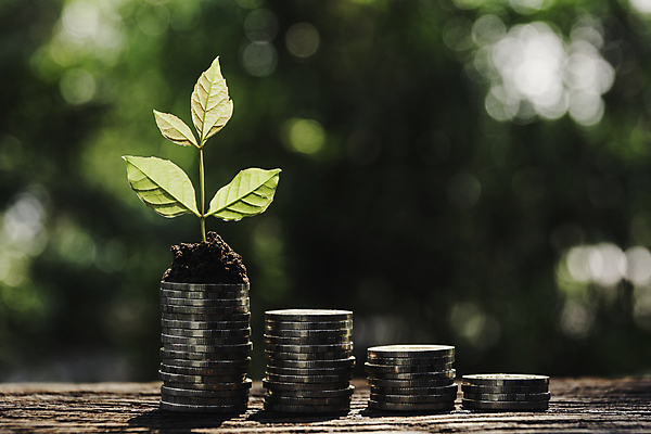 포토 JPG 해외이미지 손 백그라운드 컨셉 돈 비즈니스 성공 그래프 사람 사람없음 금융 경제 쌓기 달러 금속 동전 거래 저축 성장 흰색 바 시장 재산 황금 주식 심볼 속도 투자 상승 이익 보물 회계 보험 진행 대출 관심 수입 해외포토 컬러 모션 재질 신체부위 파일형식 이미지허브