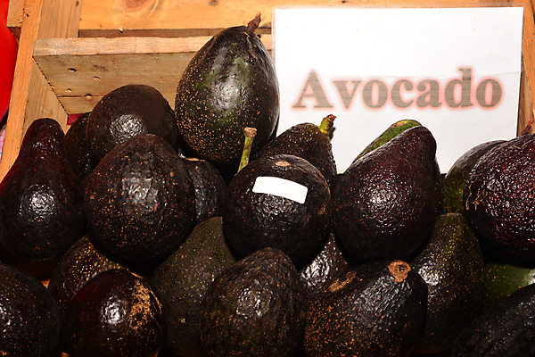 포토 JPG 해외이미지 식물 음식 백그라운드 농업 다이어트 채소 과일 재료 자연 건강 씨앗 사람없음 목재 초록색 농장 갈색 바구니 껍질 신선 최고 점 원형 거친 그룹 시장 상품 먹기 피부 유기농 반쪽 날것 아보카도 과카몰리 숙성 해외포토 도형 나무 웰빙 산업 컬러 모션 신체부위 소스_음식 생태계 파일형식 이미지허브