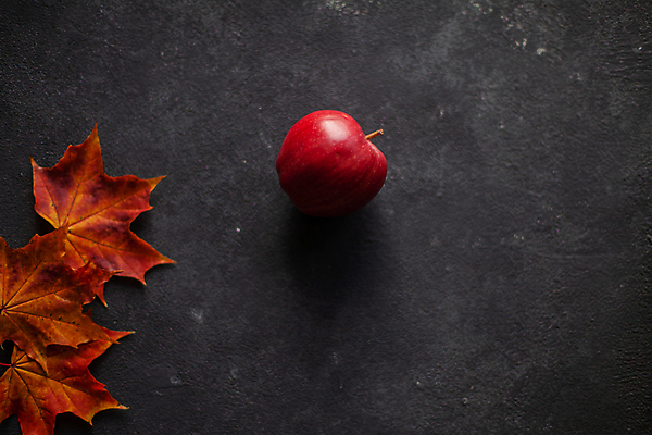 포토 JPG 해외이미지 단풍 낙엽 과일 검은배경 실내 사람없음 한개 사과 해외포토 1 백그라운드 잎 내부 검은색 파일형식 이미지허브