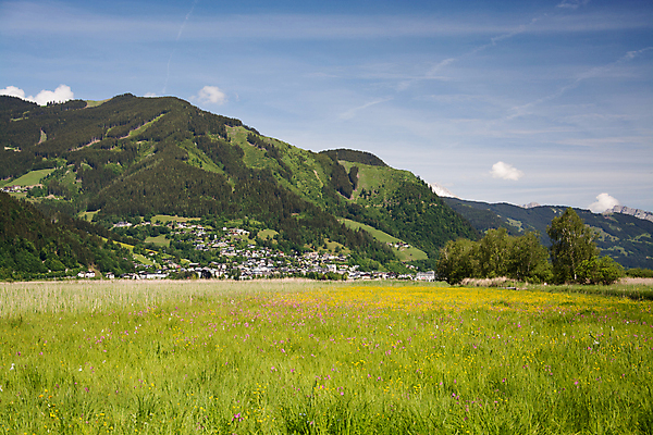 포토 JPG 해외이미지 자연 산 풍경 사람없음 봄 도시 오스트리아 5월 알프스 타운 잘츠부르크 해외포토 계절 유럽 날짜 생태계 파일형식 이미지허브