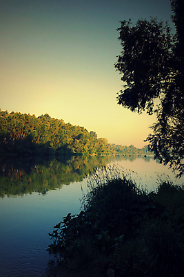 포토 JPG 해외이미지 나무 호수 자연 하늘 아침 낚시 풍경 사람없음 야외 목재 물 여름 빛 강 반사 안개 보트 숲 낚시꾼 해외포토 주간 자연요소 식물 계절 배_교통 재료 레저 날씨 생태계 파일형식 이미지허브