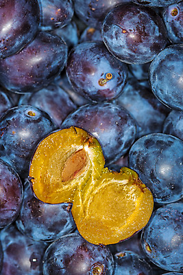 포토 JPG 해외이미지 음식 단풍 농업 과일 건강 사람없음 파란색 바구니 정원 보라색 수확 신선 오픈 달콤 상품 자르기 먹기 유기농 날것 자두 숙성 채식주의자 해외포토 웰빙 산업 컬러 잎 모션 맛 채식 파일형식 이미지허브