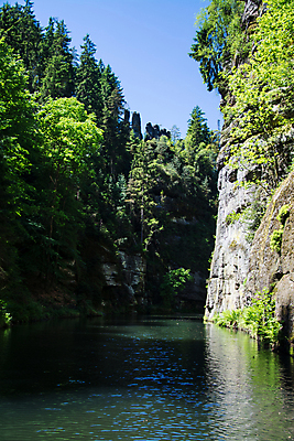 포토 JPG 해외이미지 나무 자연 풍경 사람없음 강 골짜기 봄 개울 숲 5월 체코 보헤미아 해외포토 식물 계절 유럽 날짜 생태계 파일형식 이미지허브