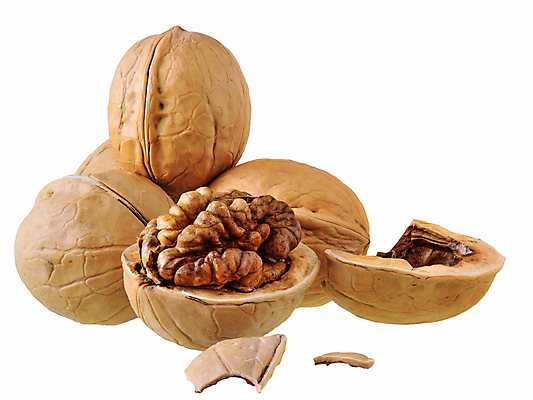 포토 JPG 해외이미지 음식 사람없음 갈색 쌓기 견과류 균열 닫기 유기농 호두 흙더미 고립 식용 해외포토 웰빙 컬러 모션 흙 파일형식 더미 이미지허브