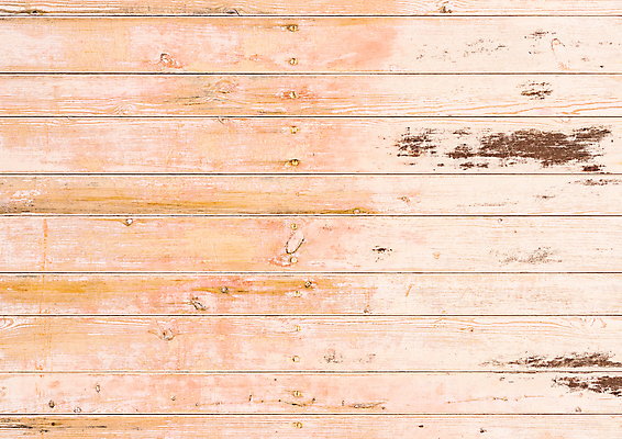 포토 JPG 해외이미지 벽 백그라운드 패턴 자연 탁자 표면 날씨 사람없음 목재 빛 갈색 페인트 회색 수확 시골 판넬 얼룩 거친 널 책상 질감 시들음 내추럴 구식 그런지 수목 옛날 카피스페이스 해외포토 나무 컬러 가구 무늬 농업 재료 공백 생태계 파일형식 이미지허브