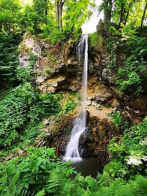 포토 JPG 해외이미지 나무 식물 길 음식 백그라운드 인터넷 가족 자연 코끼리 거리 서기 사람 풍경 사람없음 야외 초록색 물 강 사무실 유행 걷기 정원 폭포 숲 큼 기린 책상 먼지 얼룩말 고립 해외포토 자연요소 컬러 가구 비즈니스 포유류 관계 모션 말_동물 크기 생태계 파일형식 이미지허브