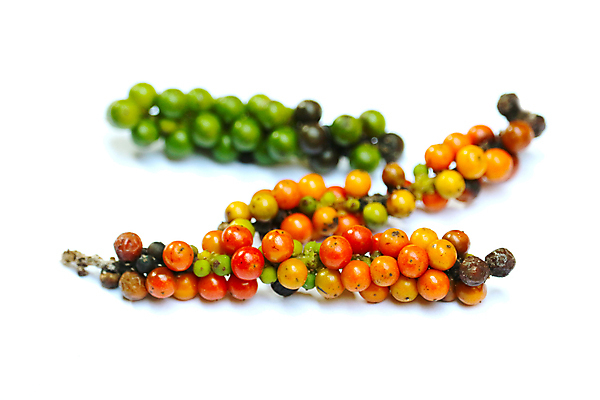 포토 JPG 해외이미지 길 백그라운드 다이어트 채소 오렌지 재료 태국 자연 고추 파프리카 건조 건강 요리 씨앗 동양인 사람없음 빨간색 초록색 약 노란색 쌓기 주방 검은색 식사 흰색 신선 뜨거움 양념 조미료 그룹 맛 허브 향신료 유기농 매움 날것 향 후추 카레 내추럴 고립 땅바닥 채식주의자 해외포토 식물 웰빙 아시아 음식 컬러 컨셉 과일 의학 모션 바닥 인종 생태계 채식 향미료 파일형식 이미지허브