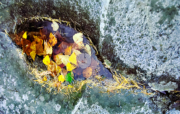 포토 JPG 해외이미지 나무 구름 계절 공원 여행 자연 하늘 산 파노라마 풍경 사람없음 야외 초록색 물 여름 얼음 침묵 바위 나뭇가지 시골 숲 언덕 산등성이 러시아 동쪽 내추럴 보호구역 삼나무 서쪽 시베리아 전국 절정 산맥 해외포토 자연요소 식물 공공시설 유럽 컬러 촬영기법 소리 돌_바위 방향 생태계 구역 파일형식 이미지허브