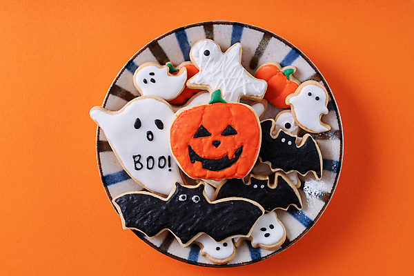 포토 JPG 해외이미지 접시 디저트 사람없음 하이앵글 쿠키 할로윈 달콤 유령 박쥐 주황색배경 해외포토 식기 음식 뷰포인트 백그라운드 포유류 주황색 맛 파일형식 이미지허브