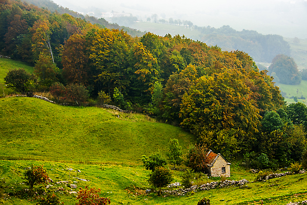 포토 JPG 해외이미지 나무 식물 구름 계절 유럽 도로 단풍 잎 오렌지 자연 하늘 산 풍경 사람없음 야외 목재 빨간색 초록색 컬러풀 뷰티 노란색 평화 걷기 환경 침묵 이탈리아 하이킹 자유 안개 가을 시골 숲 언덕 그림 알프스 내추럴 베로나 해외포토 자연요소 나라 길 컬러 컨셉 과일 재료 교통시설 모션 레저 날씨 소리 생태계 파일형식 이미지허브