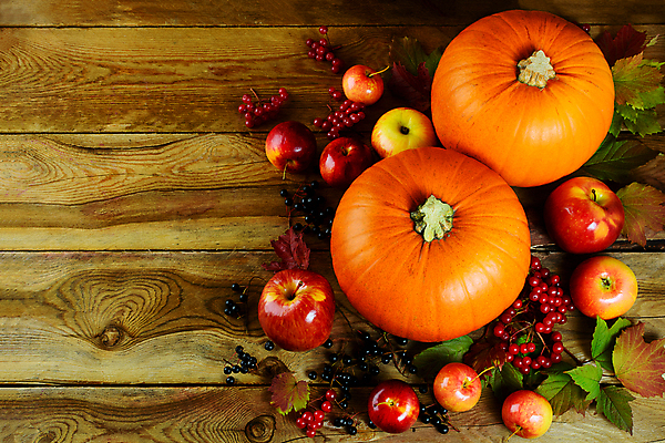 포토 JPG 해외이미지 계절 열매 음식 백그라운드 컨셉 단풍 잎 농업 채소 오렌지 재료 탁자 호박 휴가 프레임 사람없음 목재 장식 파티 우주 주방 침묵 할로윈 수확 시골 축하 신용카드 변화 사과 배열 유기농 날것 초대 박 모음 추수감사절 스쿼시 수목 해외포토 나무 식물 웰빙 산업 기독교 스포츠 가구 과일 이벤트 한글 금융 구기 소리 파일형식 이미지허브