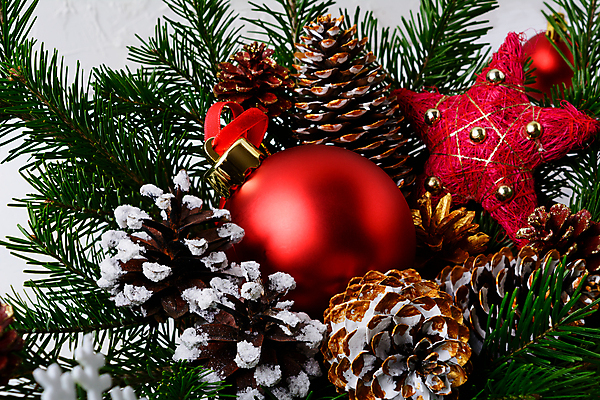 포토 JPG 해외이미지 나무 전통 계절 결혼 백그라운드 컨셉 크리스마스 탁자 휴가 새로움 선물 사람없음 목재 장식 빨간색 컬러풀 파티 우주 저녁식사 화환 활발 기쁨 흰색 나뭇가지 축하 인사 소나무 신용카드 황금 12월 연도 배열 전나무 원뿔 가문비나무 그리너리 해외포토 도형 식물 기념일 꽃 감정 컬러 가구 재료 이벤트 금융 식사 예절 날짜 파일형식 트랜드컬러 이미지허브