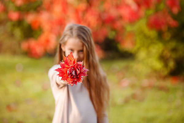 포토 JPG 해외이미지 공원 여자 어린이 단풍 한명 들기 상반신 앞모습 아웃포커스 빨간색 다발 손뻗기 소녀한명만 해외포토 1 공공시설 뷰포인트 컬러 잎 모션 촬영기법 사람 여자한명만 소녀만 파일형식 이미지허브