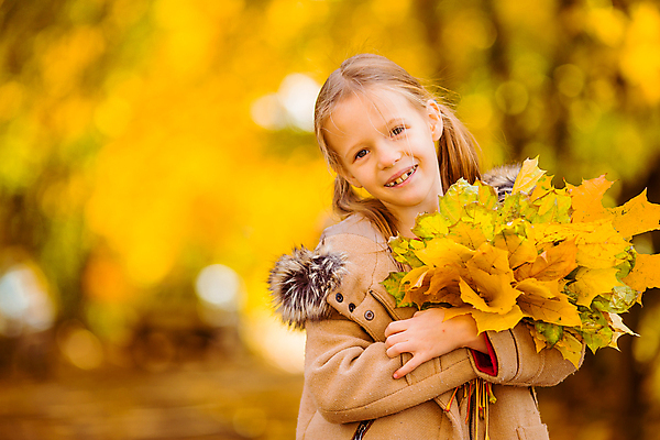포토 JPG 해외이미지 여자 어린이 단풍 한명 들기 상반신 앞모습 아웃포커스 노란색 다발 소녀한명만 해외포토 1 뷰포인트 컬러 잎 모션 촬영기법 사람 여자한명만 소녀만 파일형식 이미지허브