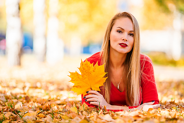 포토 JPG 해외이미지 공원 여자 엎드리기 단풍 낙엽 한명 들기 상반신 성인 앞모습 아웃포커스 성인여자한명만 해외포토 1 공공시설 뷰포인트 잎 모션 촬영기법 사람 여자한명만 성인여자만 파일형식 이미지허브