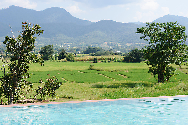 포토 JPG 해외이미지 주간 나무 수영장 사람없음 야외 풀빌라 해외포토 자연요소 식물 숙소 파일형식 이미지허브