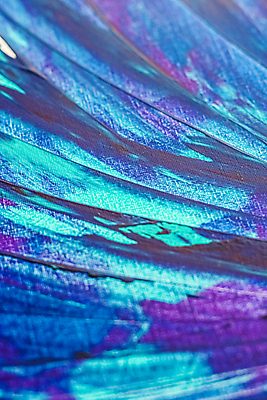 포토 JPG 해외이미지 백그라운드 무늬 붓터치 추상 사람없음 파란색 물감 화려 질감 해외포토 컬러 컨셉 미술도구 파일형식 이미지허브