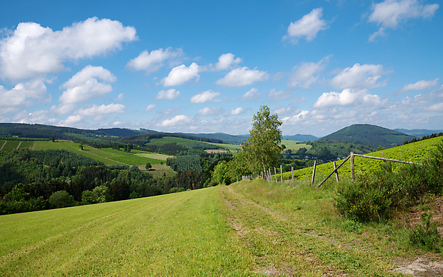 포토 JPG 해외이미지 식물 구름 유럽 길 여행 자국 자연 하늘 휴가 산 독일 파노라마 국립공원 풍경 사람없음 야외 환경 트래킹 하이킹 시골 오솔길 언덕 생태계 내추럴 방법 산맥 해외포토 자연요소 공원 나라 레저 촬영기법 파일형식 이미지허브