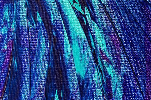 포토 JPG 해외이미지 백그라운드 무늬 붓터치 추상 사람없음 파란색 물감 화려 질감 해외포토 컬러 컨셉 미술도구 파일형식 이미지허브