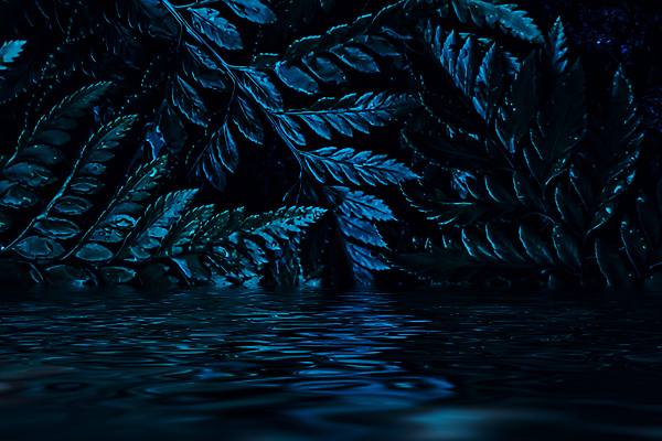 포토 JPG 해외이미지 호수 물결 백그라운드 잎 자연 사람없음 남색 해외포토 식물 컬러 생태계 파일형식 이미지허브