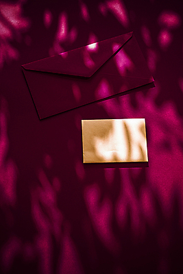 포토 JPG 해외이미지 종이 프레임 그림자 사람없음 뷰티 상점 이메일 온라인 뉴스레터 목업 레터헤드 해외포토 템플릿 파일형식 이미지허브