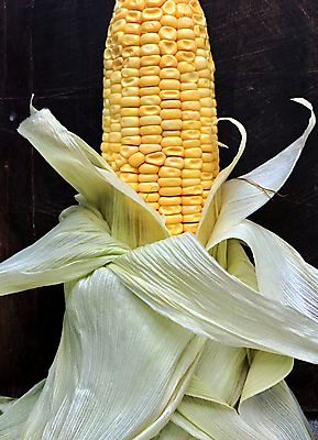 포토 JPG 해외이미지 계절 음식 백그라운드 잎 농업 다이어트 채소 재료 자연 건강 옥수수 요리 사람없음 초록색 여름 농작물 농장 노란색 수확 껍질 신선 달콤 맛 낟알 시리얼 유기농 날것 내추럴 고립 채식주의자 세련 해외포토 식물 웰빙 산업 컬러 컨셉 곡류 생태계 채식 파일형식 이미지허브