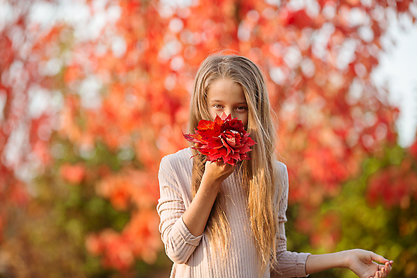 포토 JPG 해외이미지 여자 어린이 단풍 한명 들기 상반신 앞모습 아웃포커스 다발 냄새 소녀한명만 해외포토 1 뷰포인트 잎 모션 촬영기법 사람 여자한명만 소녀만 파일형식 이미지허브