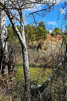 포토 JPG 해외이미지 나무 식물 여행 곡선 자연 하늘 산 사람없음 야외 옆모습 초록색 물 파란색 강 햇빛 환경 계곡 고요 봄 거품 하이킹 습기 젖음 신선 개울 스페인 숲 땅 내추럴 엘리먼트 해외포토 자연요소 계절 유럽 선 뷰포인트 컬러 레저 태양 생태계 파일형식 이미지허브