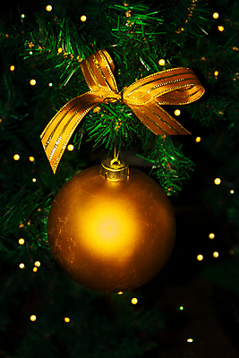 포토 JPG 해외이미지 나무 전통 계절 행복 리본 결혼 백그라운드 크리스마스 공 유리 휴가 새로움 매달리기 선물 사람없음 장식 빨간색 빛 파티 화환 기쁨 장식볼 나뭇가지 축하 인사 소나무 황금 우아함 12월 연도 활 싱글 전나무 빛망울 광 여의주 해외포토 식물 기념일 꽃 감정 컬러 컨셉 모션 재질 이벤트 예절 날짜 파일형식 이미지허브