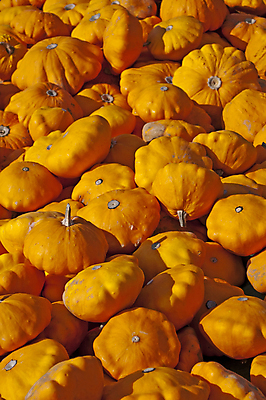 포토 JPG 해외이미지 계절 채소 오렌지 재료 건강 요리 사람없음 노란색 시장 수프 상품 만족 스쿼시 많음 제의 해외포토 감정 스포츠 컬러 컨셉 과일 구기 파일형식 이미지허브