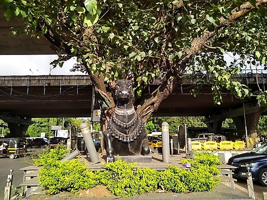 포토 JPG 해외이미지 나무 자연 사람없음 조각상 황소 인공 그리너리 해외포토 식물 조형물 소 생태계 파일형식 트랜드컬러 이미지허브