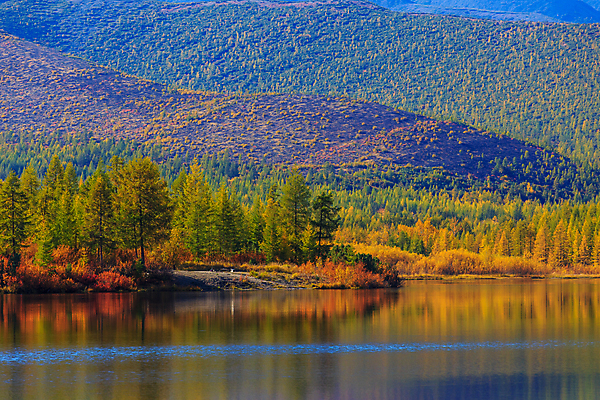 포토 JPG 해외이미지 나무 식물 계절 공원 호수 단풍 잎 밭 오렌지 자연 하늘 날씨 건조 사람없음 야외 목재 빨간색 물 파란색 강 햇빛 뷰티 반사 갈색 노란색 평화 환경 시골 연못 변화 황금 숲 9월 그림 장면 10월 해외포토 자연요소 공공시설 컬러 컨셉 농업 과일 재료 태양 날짜 생태계 파일형식 이미지허브