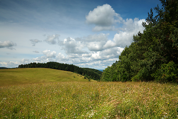 포토 JPG 해외이미지 식물 꽃 유럽 여행 자연 하늘 독일 파노라마 사람없음 야외 관광지 환경 트래킹 하이킹 시골 숲 언덕 생태계 내추럴 해외포토 나라 레저 촬영기법 파일형식 이미지허브
