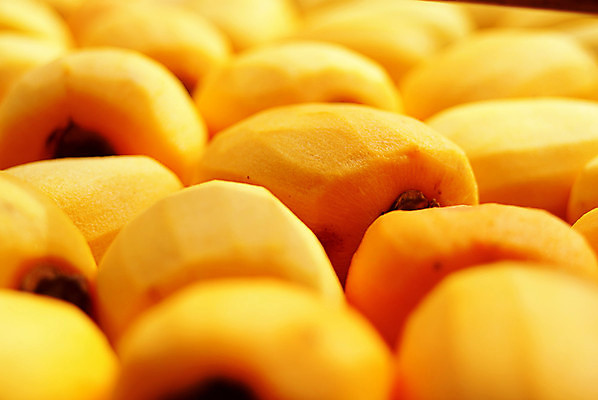 포토 JPG 해외이미지 주간 건조 감 사람없음 야외 햇빛 제조 건과일 해외포토 자연요소 과일 태양 파일형식 이미지허브