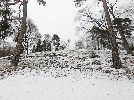 포토 JPG 해외이미지 나무 라이프스타일 공원 도로 길 스포츠 여행 겨울 자동차 자연 휴가 건강 핀란드 사람 사람없음 야외 건물 파란색 걷기 침묵 하이킹 안개 흰색 도시 숲 고립 헬싱키 해외포토 식물 건축물 계절 공공시설 육상교통 컬러 교통시설 모션 레저 날씨 북유럽 생활 소리 생태계 파일형식 이미지허브