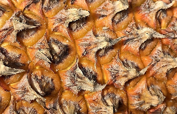 포토 JPG 해외이미지 식물 외관 음식 패턴 다이어트 오렌지 과일 자연 표면 추상 디저트 건강 요리 사람없음 초록색 컬러풀 햇빛 노란색 주스 봄 껍질 신선 거친 가시 달콤 피부 파인애플 오브젝트 유기농 질감 날것 내추럴 숙성 이국적 해외포토 웰빙 계절 음료 컬러 무늬 신체부위 태양 맛 열대과일 생태계 파일형식 이미지허브