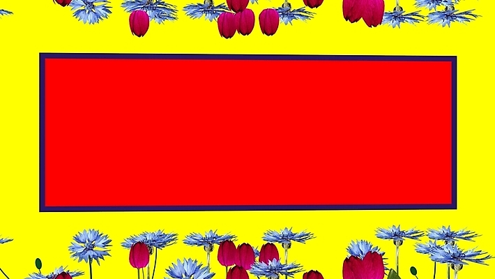 포토 JPG 해외이미지 템플릿 꽃 백그라운드 컨셉 일러스트 교실 프레임 사람없음 장식 유행 변화 심플 직사각형 효과 해외일러스트 도형 식물 교육 학교 파일형식 이미지허브