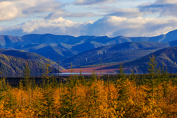 포토 JPG 해외이미지 식물 계절 열매 음식 백그라운드 오렌지 과일 자연 건강 이끼 사람없음 빨간색 초록색 물 뷰티 노란색 들꽃 흰색 신선 소나무 티켓 달콤 숲 제비꽃 원뿔 느림 러시아인 숙성 해외포토 자연요소 도형 서양인 나무 꽃 컬러 맛 생태계 파일형식 이미지허브
