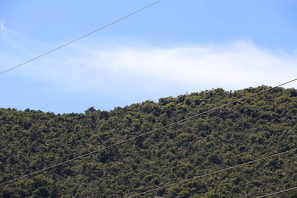 포토 JPG 해외이미지 나무 응시 계절 공원 백그라운드 건축양식 창문 자연 유리 하늘 산 주택 실내 풍경 사람없음 야외 내부 초록색 빛 태양 우주 환경 맑음 방 시골 커튼 오픈 숲 장면 전나무 직사각형 리빙 가문비나무 해외포토 자연요소 도형 식물 시선 공공시설 건축 컬러 재질 날씨 건물 생태계 파일형식 이미지허브