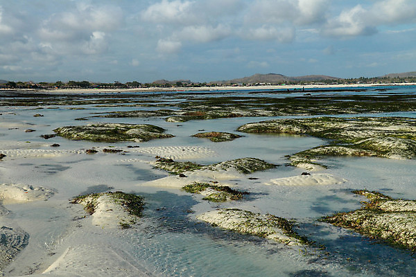 포토 JPG 해외이미지 모래 파도 바다 섬 여행 백그라운드 중동 건축양식 자연 벽지 조류 하늘 휴가 건조 풍경 사람없음 야외 빨간색 물 여름 파란색 모래사장 태양 맑음 만 썰물 웅덩이 지구온난화 카타르 숨기 해외포토 자연요소 동물 계절 건축 나라 컬러 모션 날씨 생태계 기후변화 파일형식 이미지허브