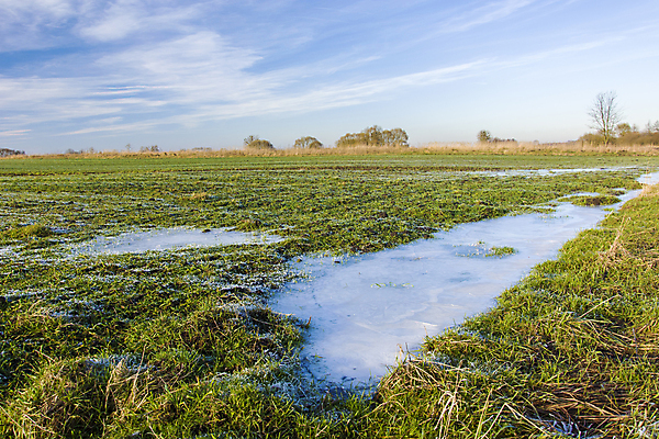 포토 JPG 해외이미지 식물 구름 계절 지구 겨울 밭 농업 자연 하늘 날씨 풍경 사람없음 초록색 물 파란색 농작물 농장 맑음 냉동 얼음 봄 젖음 추위 성장 시골 시리얼 밀 서리 웅덩이 땅바닥 반투명 해외포토 자연요소 산업 음식 컬러 곡류 바닥 생태계 파일형식 이미지허브