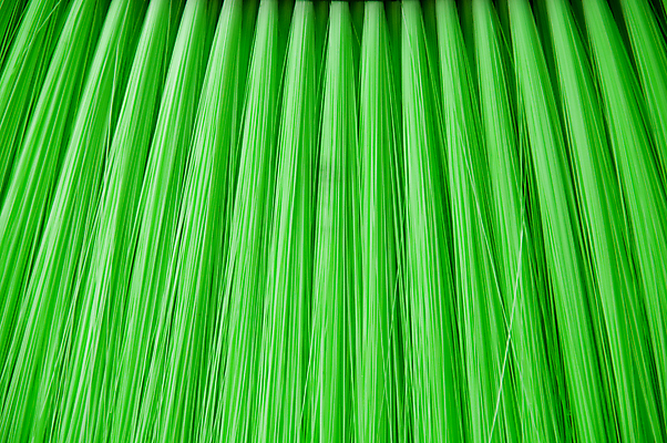 포토 JPG 해외이미지 선 조각 백그라운드 사람없음 초록색 그룹 닫기 오브젝트 해외포토 컬러 모션 파일형식 이미지허브