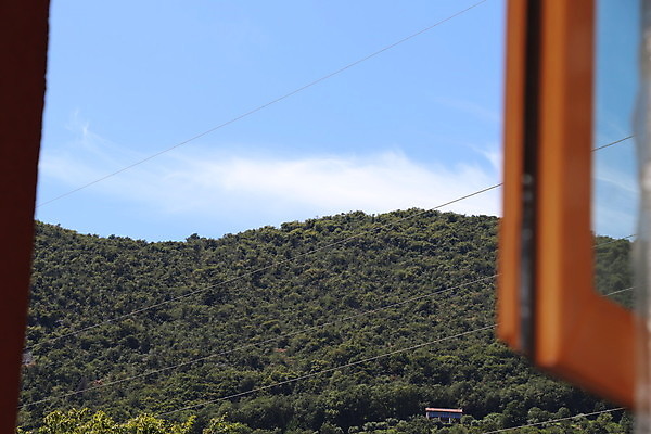 포토 JPG 해외이미지 나무 응시 계절 공원 백그라운드 건축양식 창문 자연 유리 하늘 산 주택 실내 풍경 사람없음 야외 내부 초록색 빛 태양 우주 환경 맑음 방 시골 커튼 오픈 숲 장면 전나무 직사각형 리빙 가문비나무 해외포토 자연요소 도형 식물 시선 공공시설 건축 컬러 재질 날씨 건물 생태계 파일형식 이미지허브