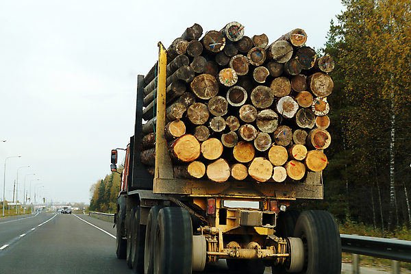 포토 JPG 해외이미지 나무 산업 도로 비즈니스 교통시설 모션 자동차 사람없음 목재 갈색 쌓기 환경 장비 운전 트럭 화물 소나무 바퀴 고속도로 숲 큼 자르기 배송 속도 상업 통나무 짐차 무거움 트레일러 잡동사니 적재 물류 벌목 수목 해외포토 식물 길 육상교통 컬러 교통 재료 운송업 무게 크기 시설 파일형식 이미지허브